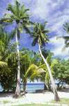 Equator Village 